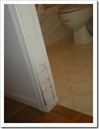 A chewed up doorway and scratched toilet bowl