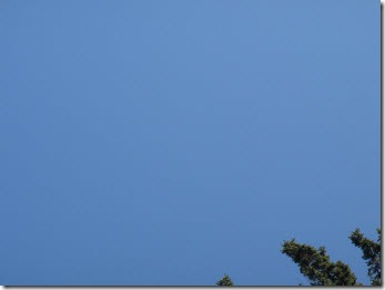 Clear blue sky with a tree top in the bottom corner 